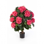 Hortensia de luxe Roze 62cm